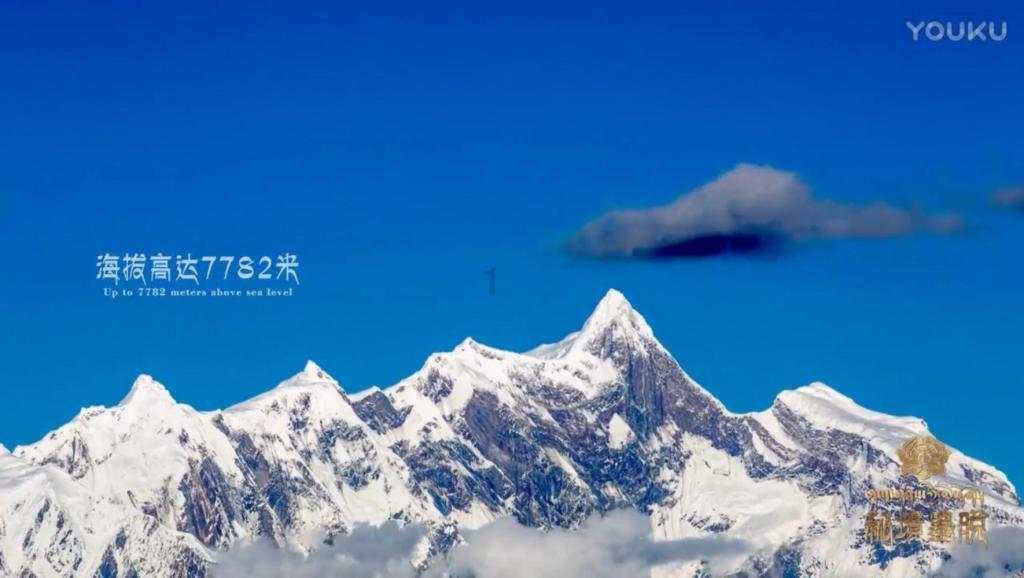 lpl买押注那个app靠谱点的